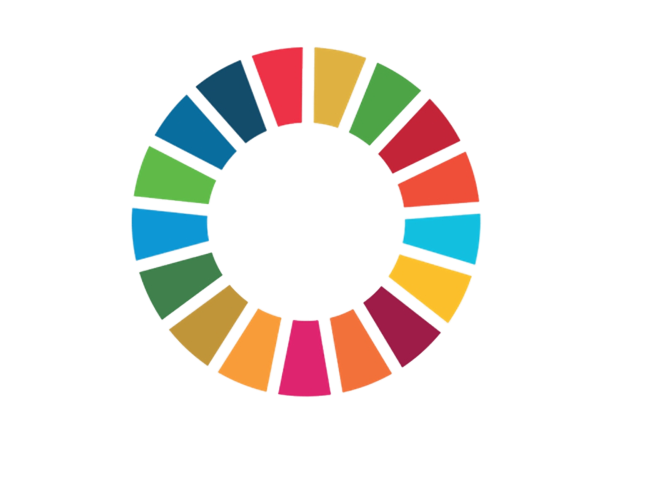 SDGs Zanzibar